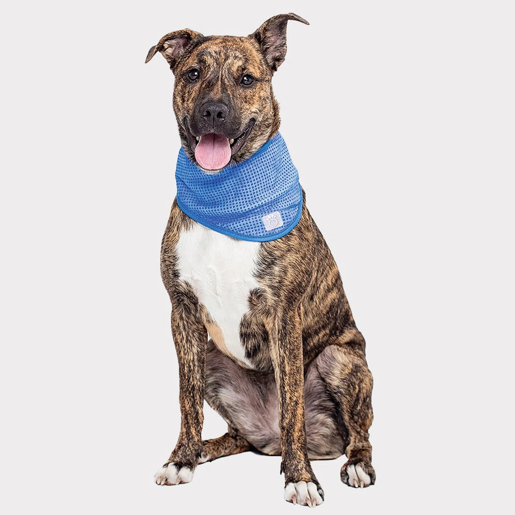 GF Pet Ice Band - Cooling Bandana