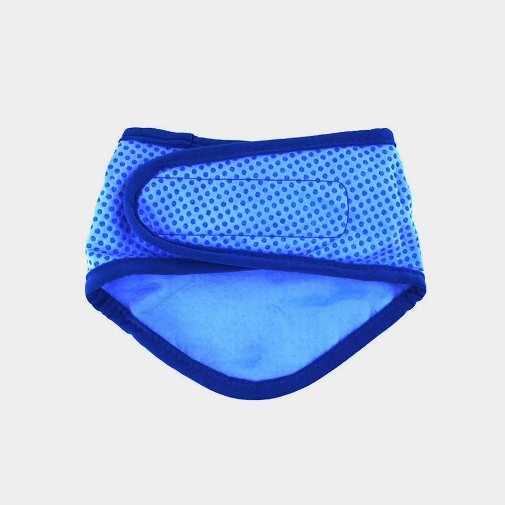 GF Pet Ice Band - Cooling Bandana