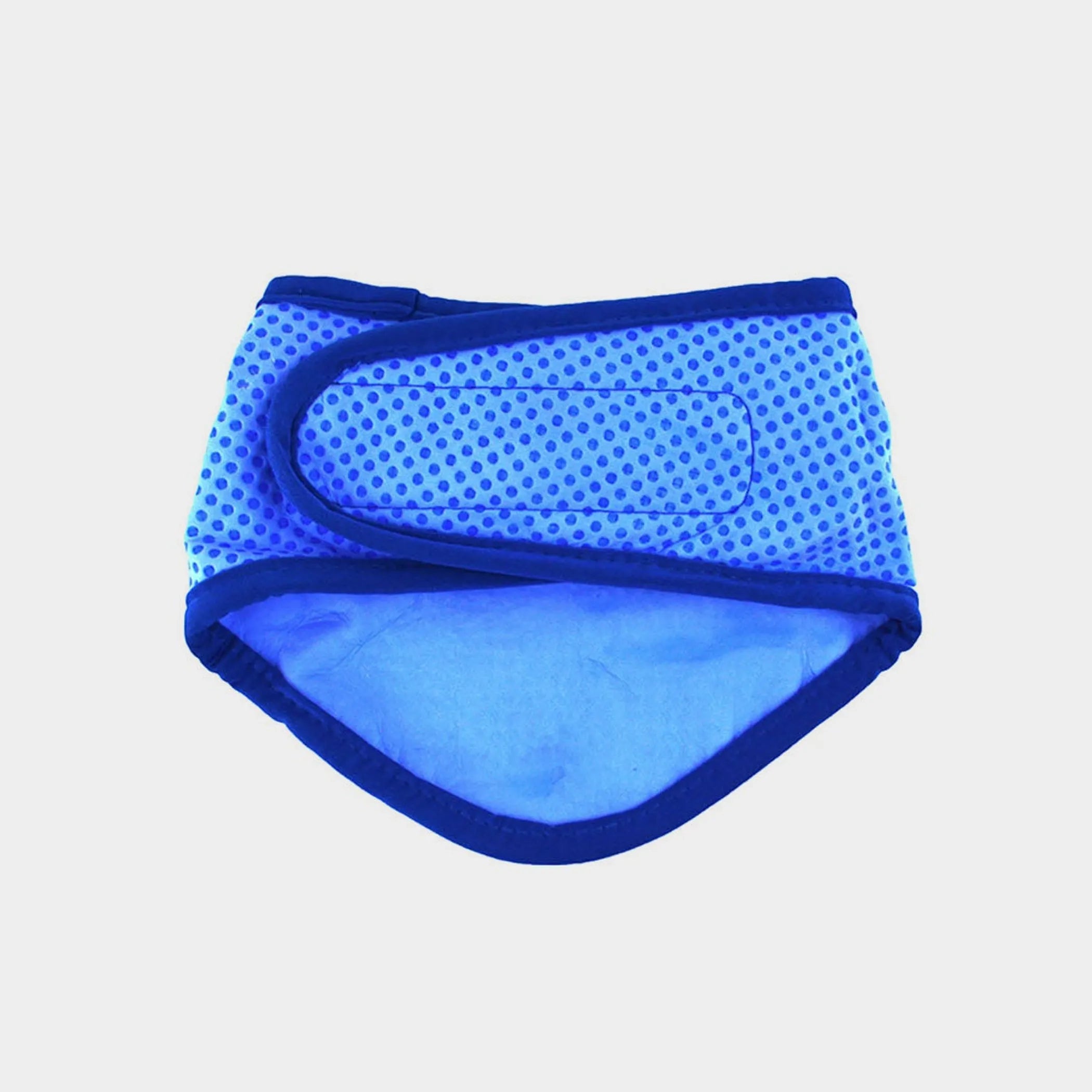 GF Pet Ice Band - Cooling Bandana