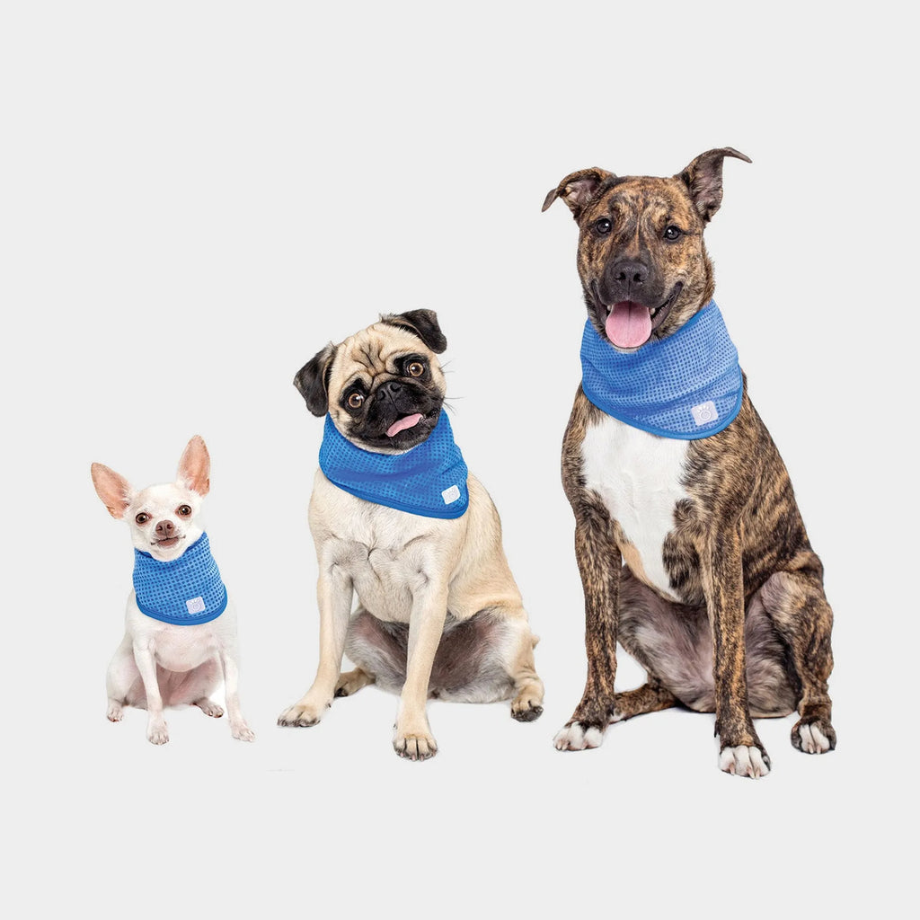 GF Pet Ice Band - Cooling Bandana
